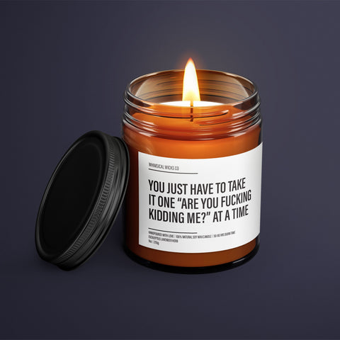 You Just Have To Take It One Are You F*cking Kidding Me Soy Wax Candle | Funny Gift Ideas | Funny Candles | Gift For Her | Best Friend Gift