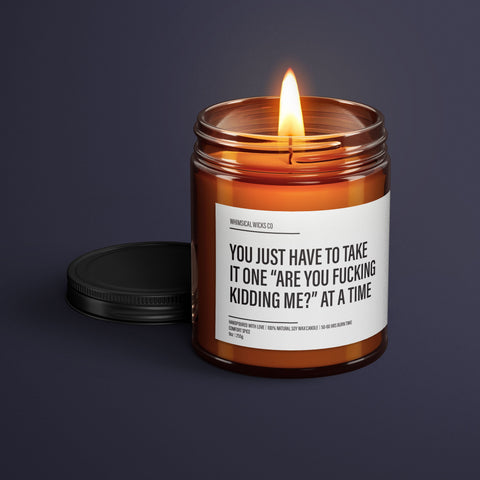 You Just Have To Take It One Are You F*cking Kidding Me Soy Wax Candle | Funny Gift Ideas | Funny Candles | Gift For Her | Best Friend Gift