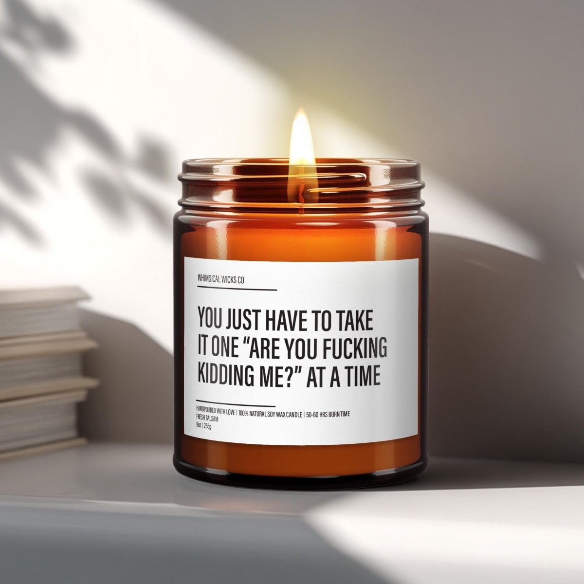You Just Have To Take It One Are You F*cking Kidding Me - The Whimsical Wicks Co