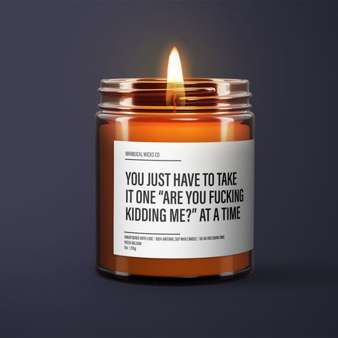 You Just Have To Take It One Are You F*cking Kidding Me Soy Wax Candle | Funny Gift Ideas | Funny Candles | Gift For Her | Best Friend Gift