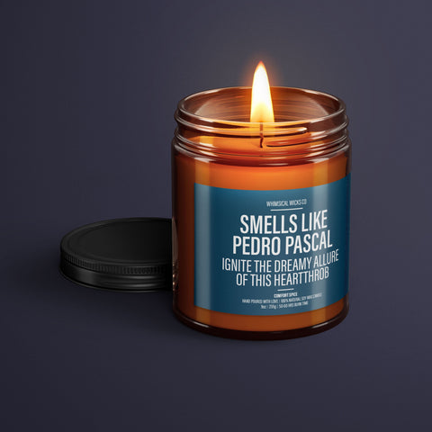 Soy Wax Candle, Pedro Pascal Scent, Celebrity Candle, Man of Your Dreams, Dreamy Actor, Eco Friendly Wax, Fandom Inspired, Actor Gift, Unique Home Fragrance, Fan Gift Idea, Pop Culture Decor, Heartthrob Candle, Witty Celebrity Quote