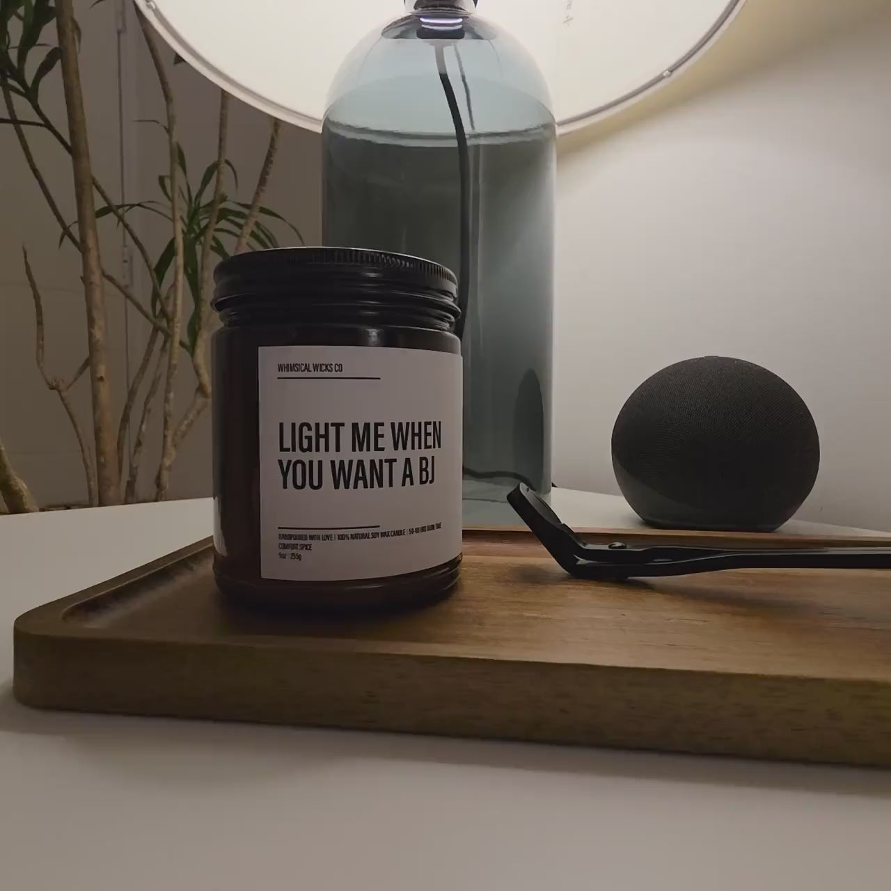 Congrats on the New Place, Bitch Candle, Vulgar Funny Housewarming Gift